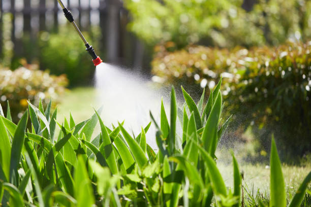 24/7 Emergency Ant Control experts in Ruston, LA