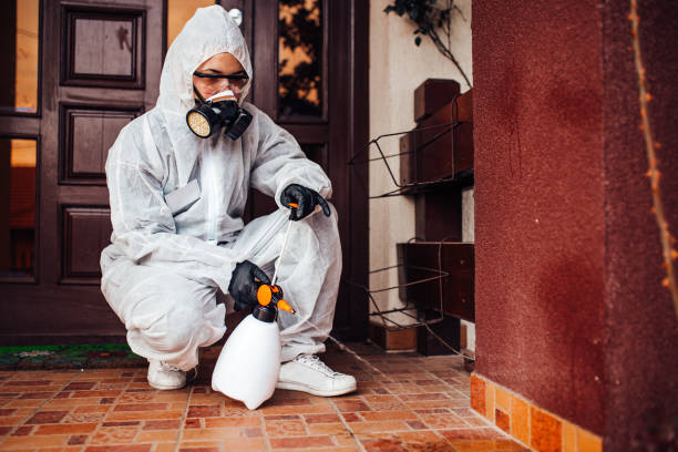 Reliable Ant Control contractor in Ruston, LA by Nex Pest Control